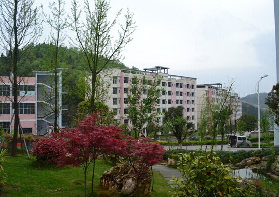 学院第三届摄影大赛结束