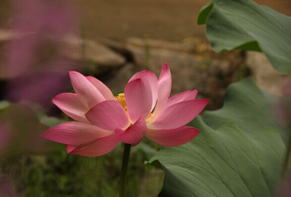 学院第三届摄影大赛结束